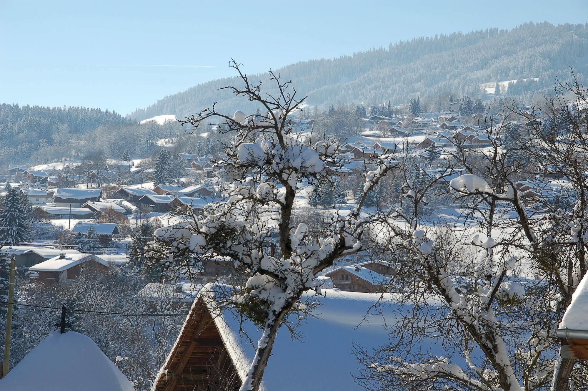 Logis Hotel Le Caprice Des Neiges Комблу Экстерьер фото